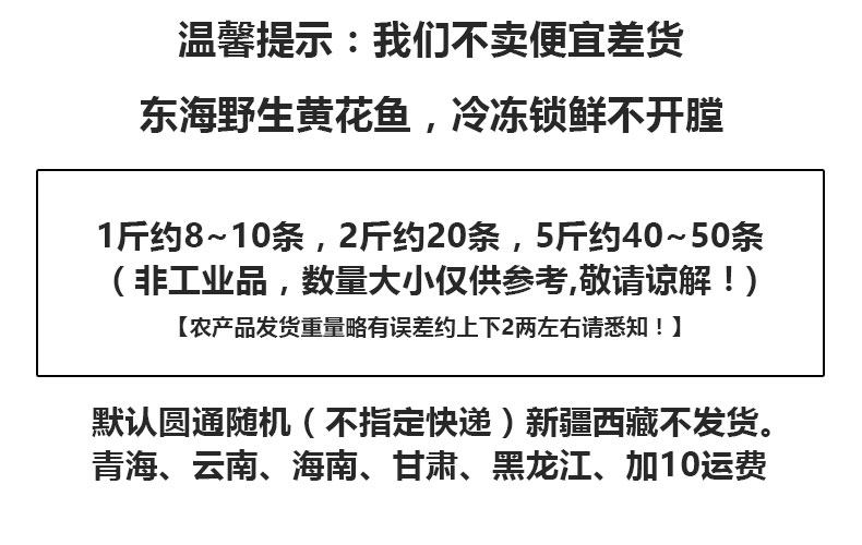 青岛野生海捕 冷冻小黄鱼 5斤 约40-50条 图1