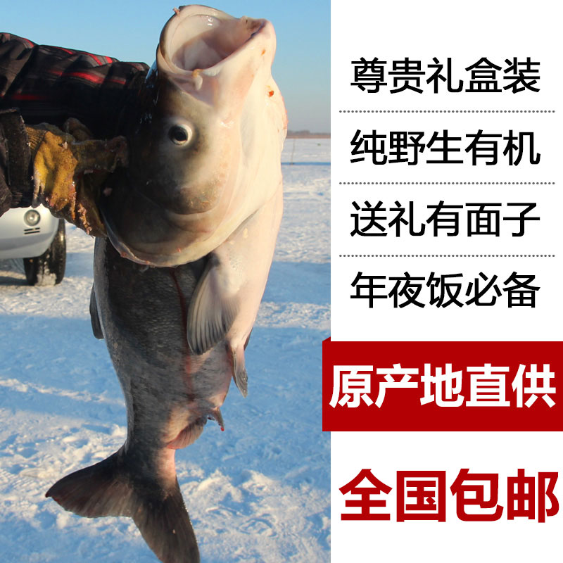 查干湖 有机野生胖头鱼 5斤 年货礼盒装 图2