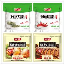 Barbecue seasoning Orleans pickled meat cumin powder chili noodles barbecue dipping barbecue sprinkling Secret barbecue ingredients