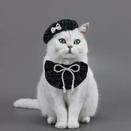 Берет из жемчуга с бантиком, шапка для принцессы, комплект, в стиле Шанель