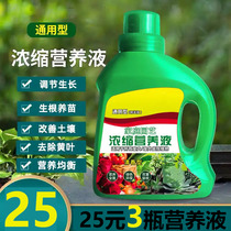 Jinyue concentrated nutrient solution Tengwei plant fleshy universal liquid fertilizer falling home gardening soil hydroponics