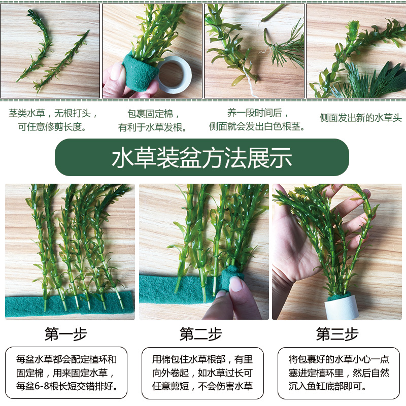 鱼缸水草植物活无土水养水草活体鱼缸草缸造景懒人草易活好养蜈蚣 鱼缸水草植物活无土水养水草活体鱼缸草缸造景懒人草易活好养蜈蚣