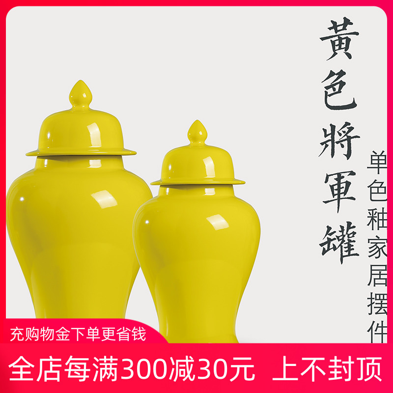 Modern Chinese style household furnishing articles general as cans ceramic vase, large home sitting room porch ark, dry flower arrangement