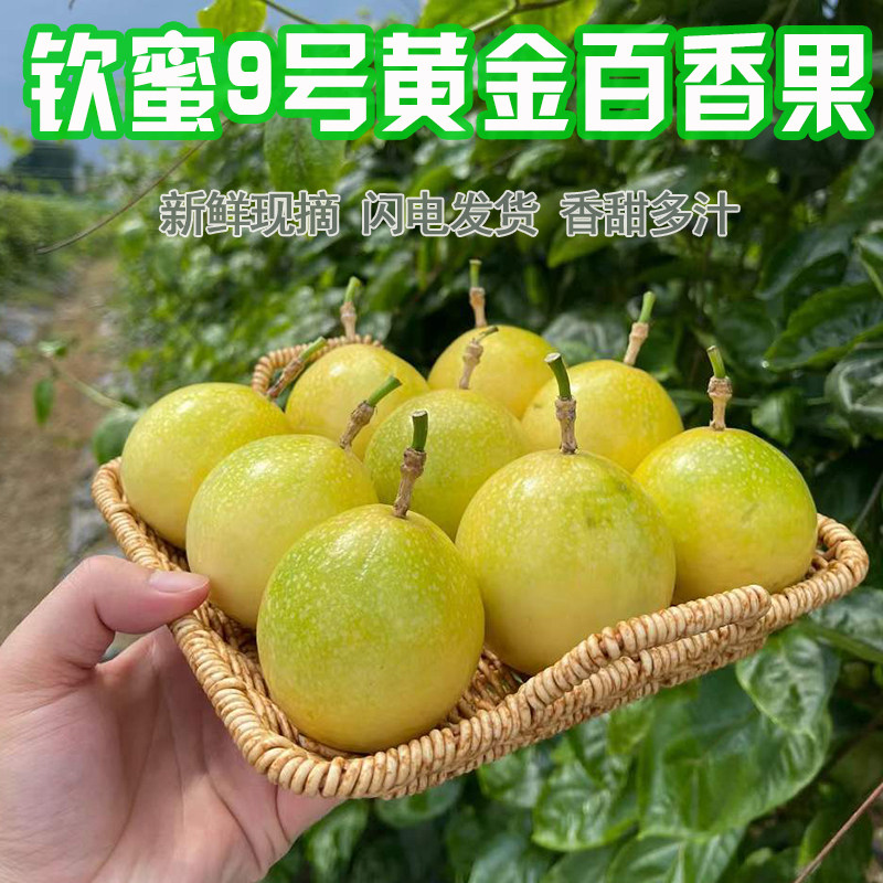 香熙果园的LOGO