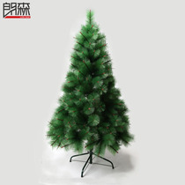 Lang Sen 180cm emulation green pine pine needles Christmas Christmas decorations nude trees encrypted Christmas decorations trees
