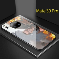 Mate30pro [стеклянная оболочка] Оригинальный 1879