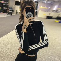 Song station tight elastic thin yoga clothing long sleeve custom full zipper stand neck fitness jacket running sportswear autumn
