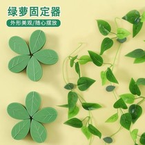 Green plant holder green plant climbing wall artifact wall green basket fixed flower buckle climbing vine suction cup climbing vine hook clip buckle