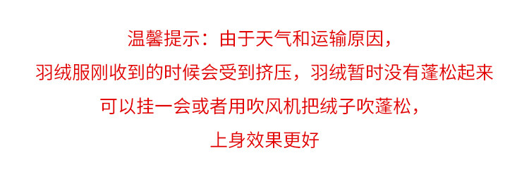 自定義 20231218
