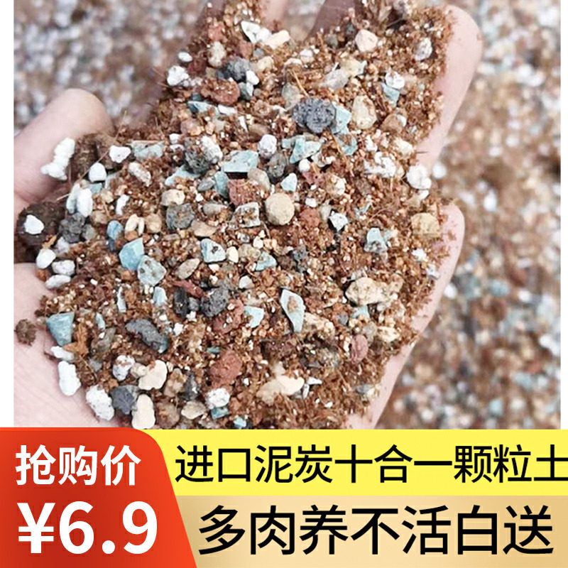 Multi-meat granular soil special nutrient soil pure grain imported peat charcoal small fry soil Home breathable medical stone paving stone