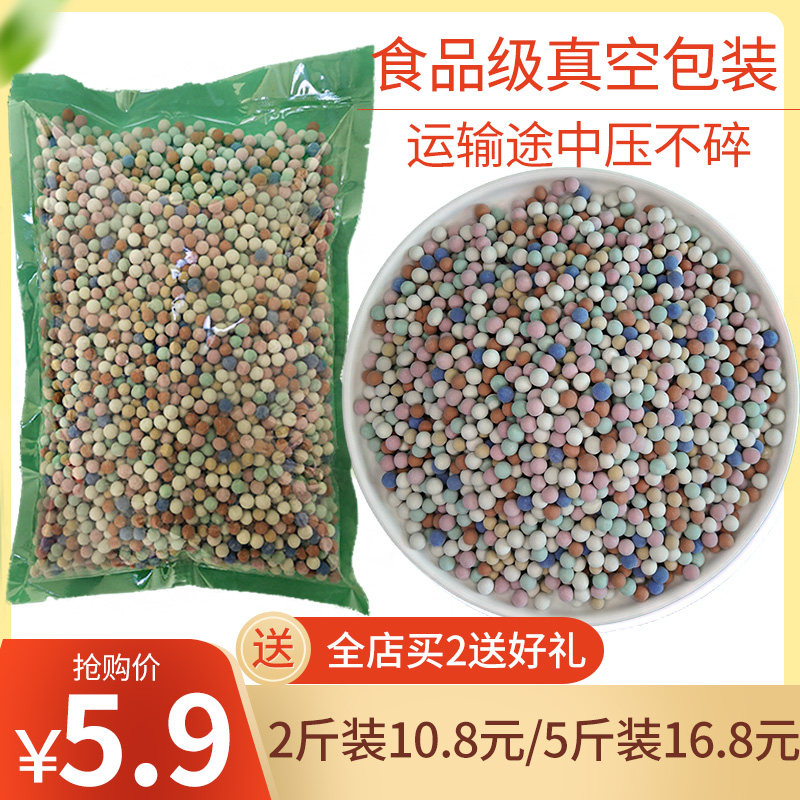 Colorful ceramica flower with soilless cultivation hydropony fixed multi-meat plant potted paving stone cushion bottom breathable clay ball