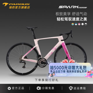 Ruibao pardus carbon fiber pneumatic electric road car