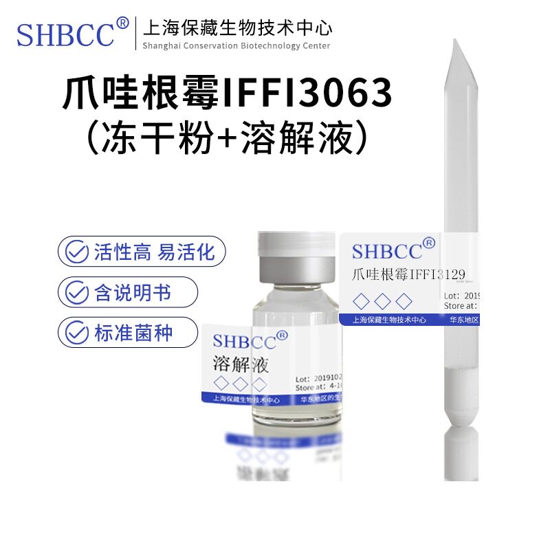 包邮冻干粉爪哇根霉IFFI3063菌种服务