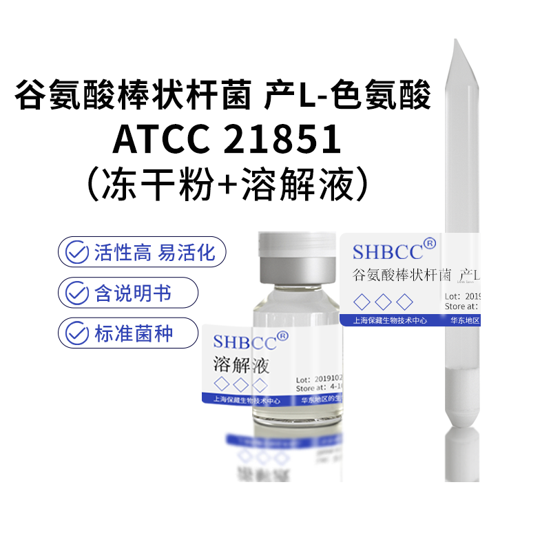 谷氨酸棒状杆菌 产L-色氨酸 ATCC 21851 0代 冻干粉 包邮