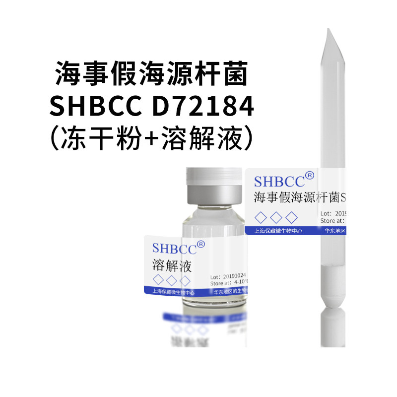 海事假海源杆菌 D72184模式菌株海水2216琼脂30℃培养冻干物