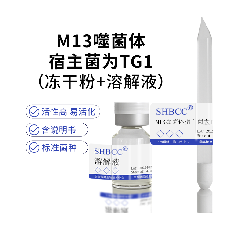 M13噬菌体宿主菌为TG1冻干粉LB肉汤琼脂培养基37度活化丝状形态