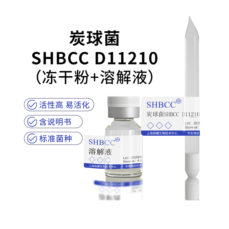 包邮冻干粉炭球菌药用菌菌种服务服务