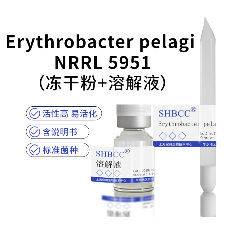 包邮 冻干粉  Erythrobacter pelagi NRRL 5951 0代菌种