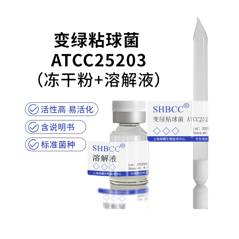 包邮 冻干粉 变绿粘球菌 ATCC25203