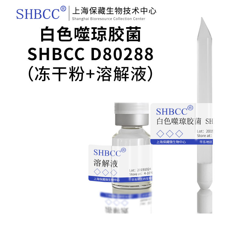 白色噬琼胶菌NBRC102603模式菌株Marine Agar 2216,25℃培养冷藏