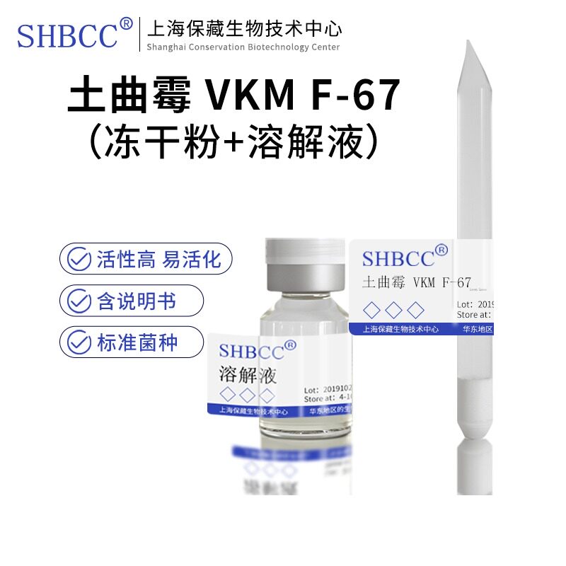包邮 冻干粉 土曲霉 VKM F-67