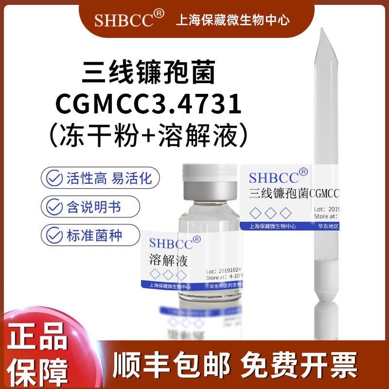 三线镰孢菌CGMCC3.4731非模式菌株综合马铃薯培养基25-28℃培养
