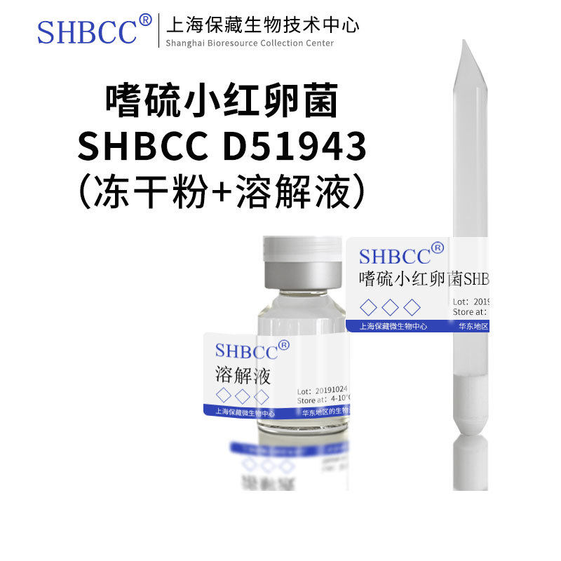嗜硫小红卵菌SHBCC D51943非模式菌株ATYP琼脂冷藏4-10℃35℃培养