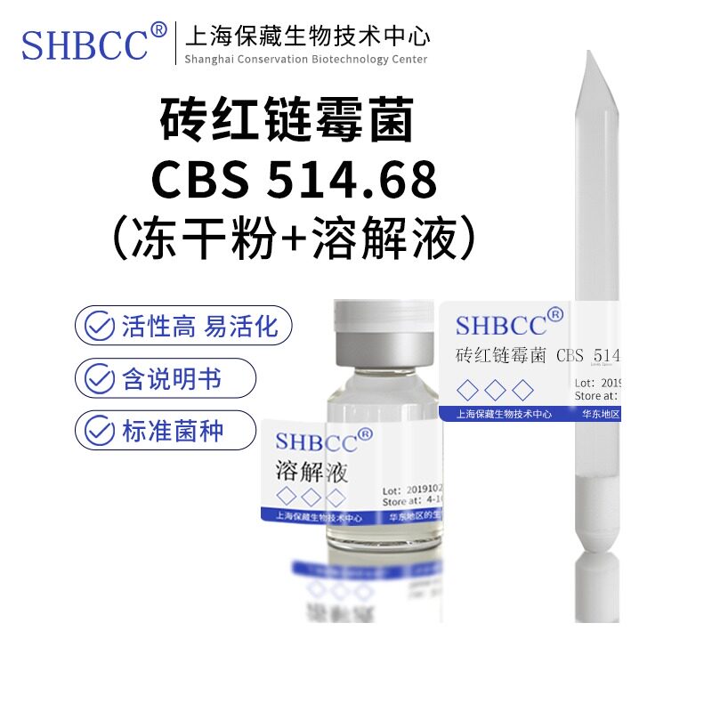 包邮 冻干粉 砖红链霉菌 CBS 514.68