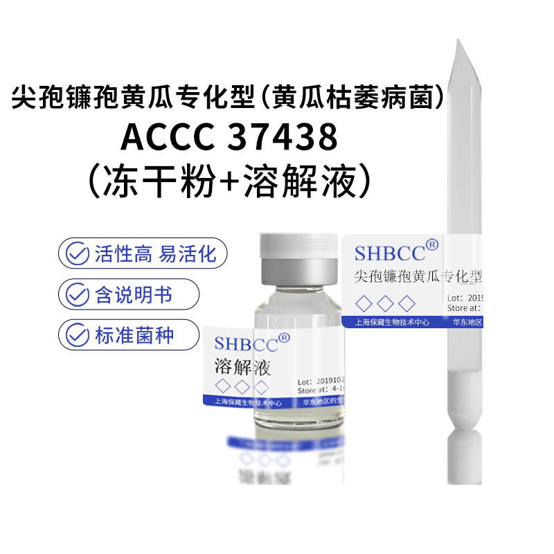 冻干粉尖孢镰孢黄瓜专化型（黄瓜枯萎病菌）SHBCC D19196菌株菌种