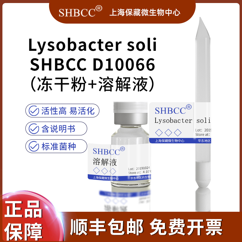 Lysobacter soli D100664-10度保存冻干粉