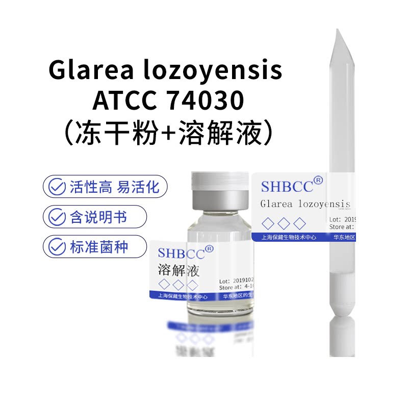 包邮 冻干粉 Glarea lozoyensis ATCC 74030 0代菌种培养服务