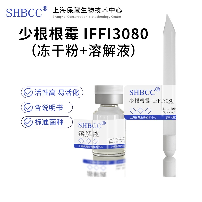 包邮 冻干粉 少根根霉 IFFI3080