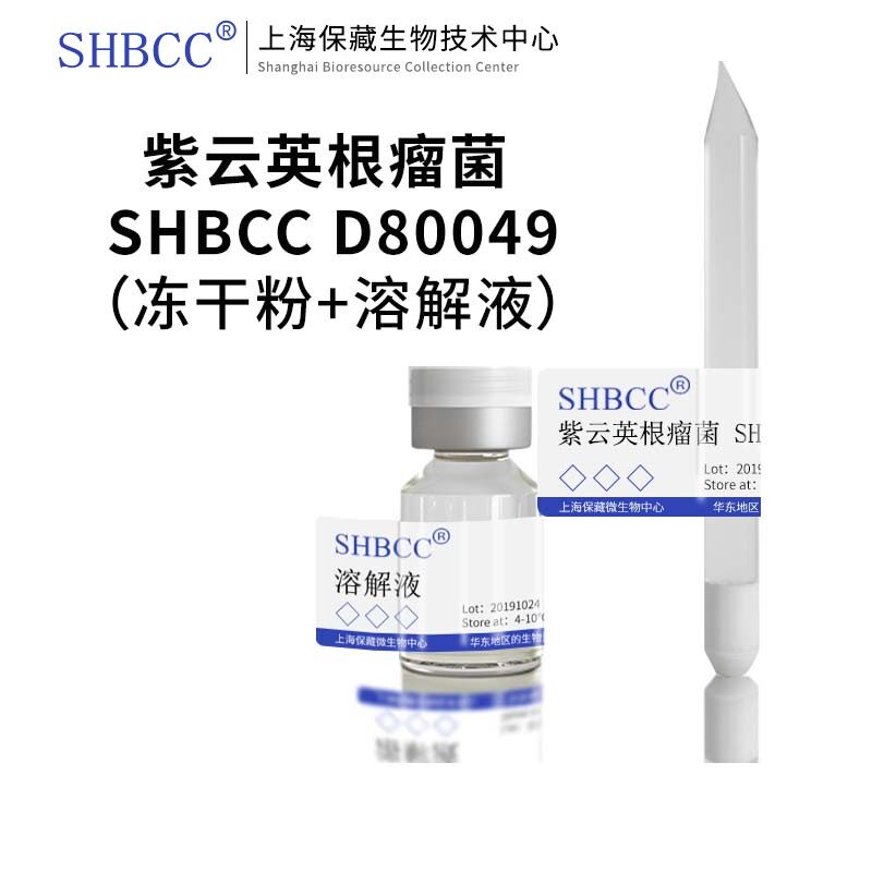 紫云英根瘤菌GDMCCM1.4非模式菌株根瘤菌培养基25℃培养冷藏冻干