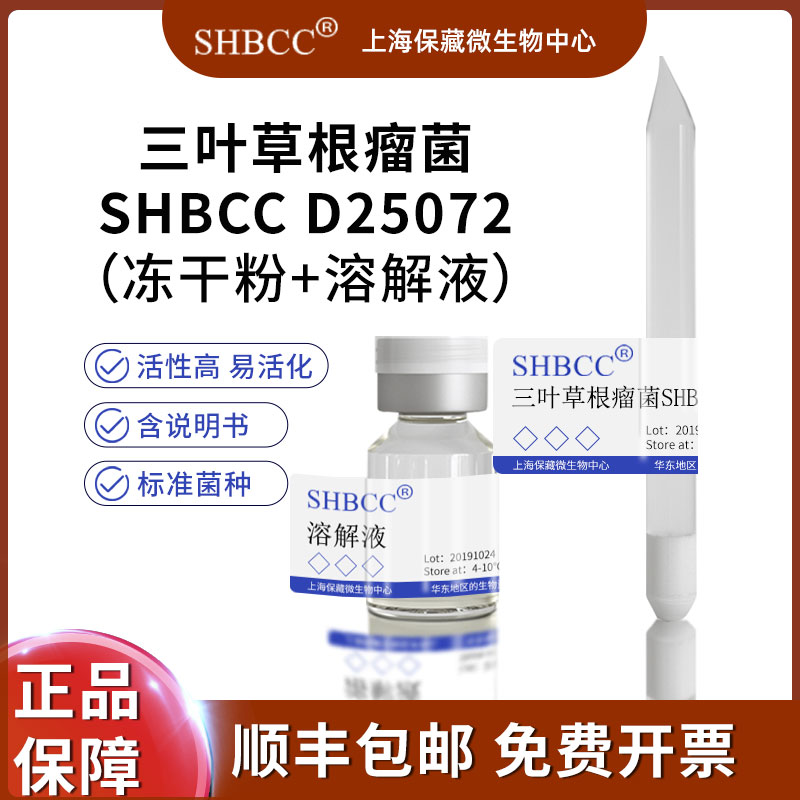 三叶草根瘤菌SHBCC D25072=TA-1