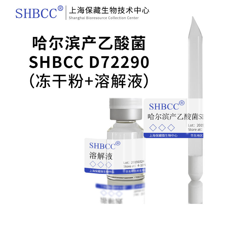 哈尔滨产乙酸菌SHBCC D72290非模式菌株  产乙酸细菌培养基冻干物