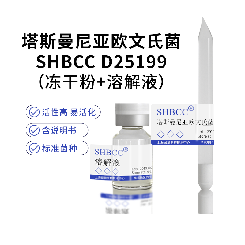 塔斯曼尼亚欧文氏菌SHBCC D25199非模式菌株营养肉汁琼脂培养基