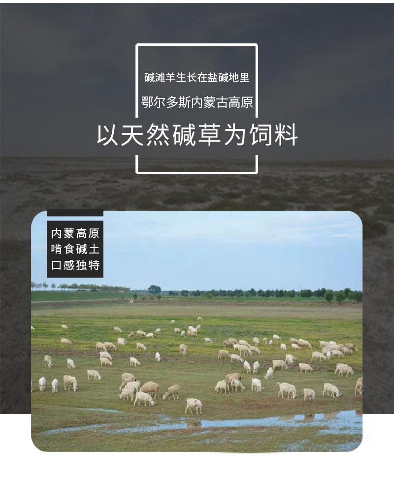内蒙古 碱滩羊 180天羔羊整切羊排 3斤 图4