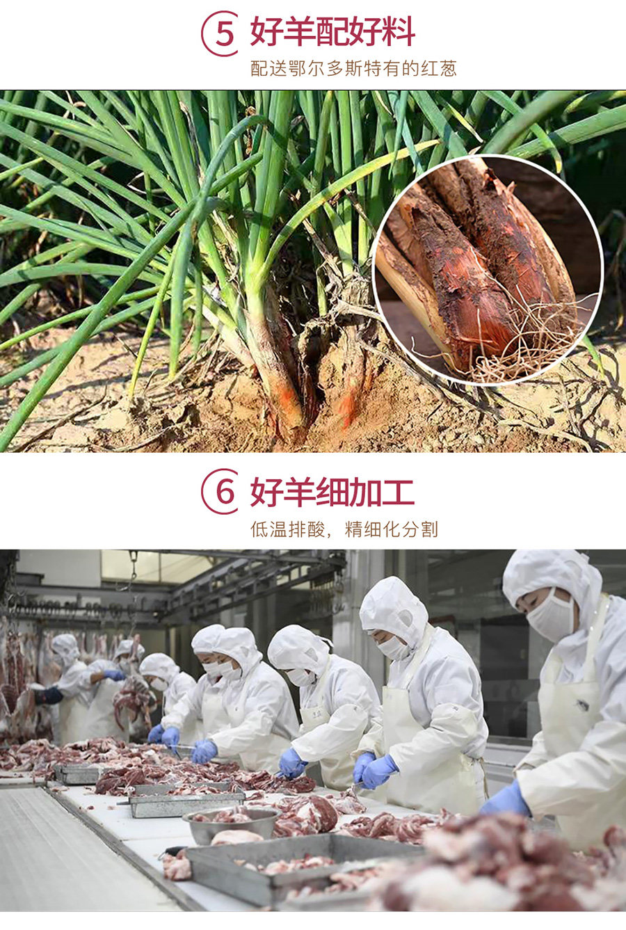 国家地标产品 碱滩羊 内蒙古准格尔山羊肉块 2斤 图7