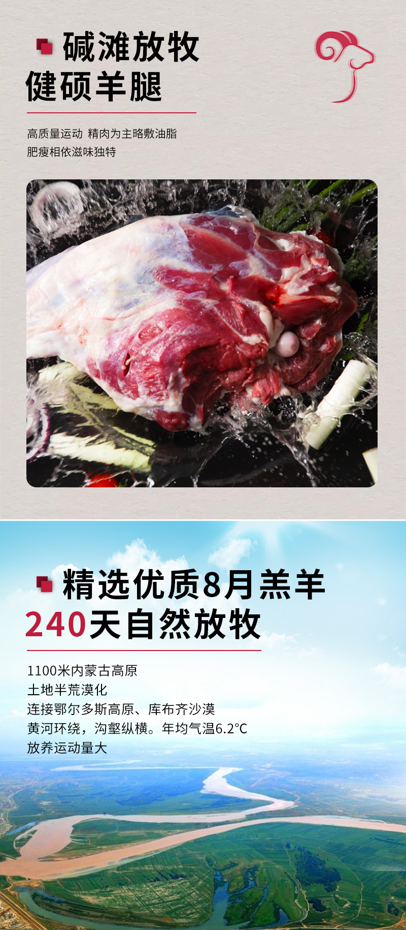 碱滩羊 内蒙古冷冻新鲜羊后腿 4斤 图3