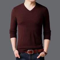 Official flagship store 2021 spring new mens casual long sleeve sweater mens all wool V neck base shirt men