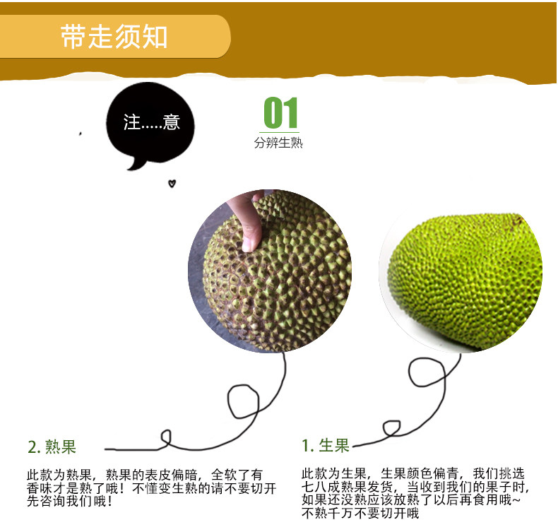 海南菠萝蜜 20-25斤整个 新鲜热带水果 图4