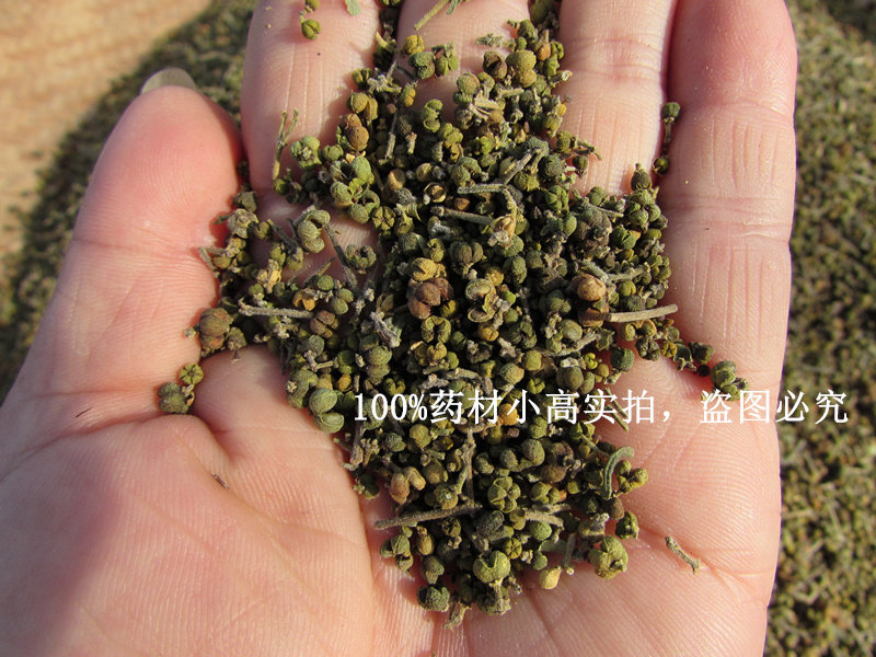 Zhang Jiajiao Wu Wong - wood Chinese medicine Wu - wood small flower Wu - wood can be free to hit Wu dogdog powder 250 g