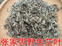 Wild wormwood Zhangjiajie Wild wormwood boiled wormwood egg Foot soak Wormwood Wormwood Mugwort Wormwood Wild wormwood without branches