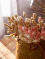 Yunnan natural dog tail grass grass dry flower eternal flower Flower real flower bouquet with vase