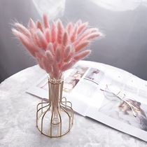 ins wind dried flower fake flower simulation dog rabbit tail grass Net red Reed eucalyptus leaves star decoration decoration photo