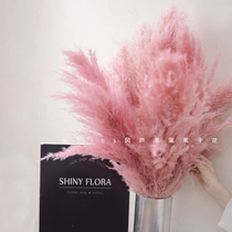 Big Reed simulation fake flower dried flower window living room floor wedding decoration Net red womens clothing store scene layout