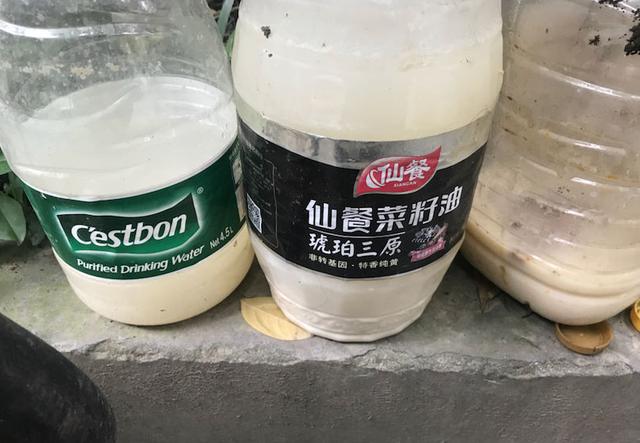 厨房里的这玩意,养花能力一流14