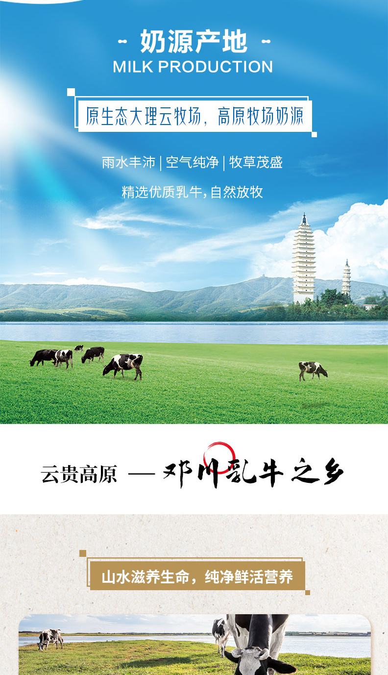 新希望 蝶泉 全脂纯牛奶 250g*16盒 图2