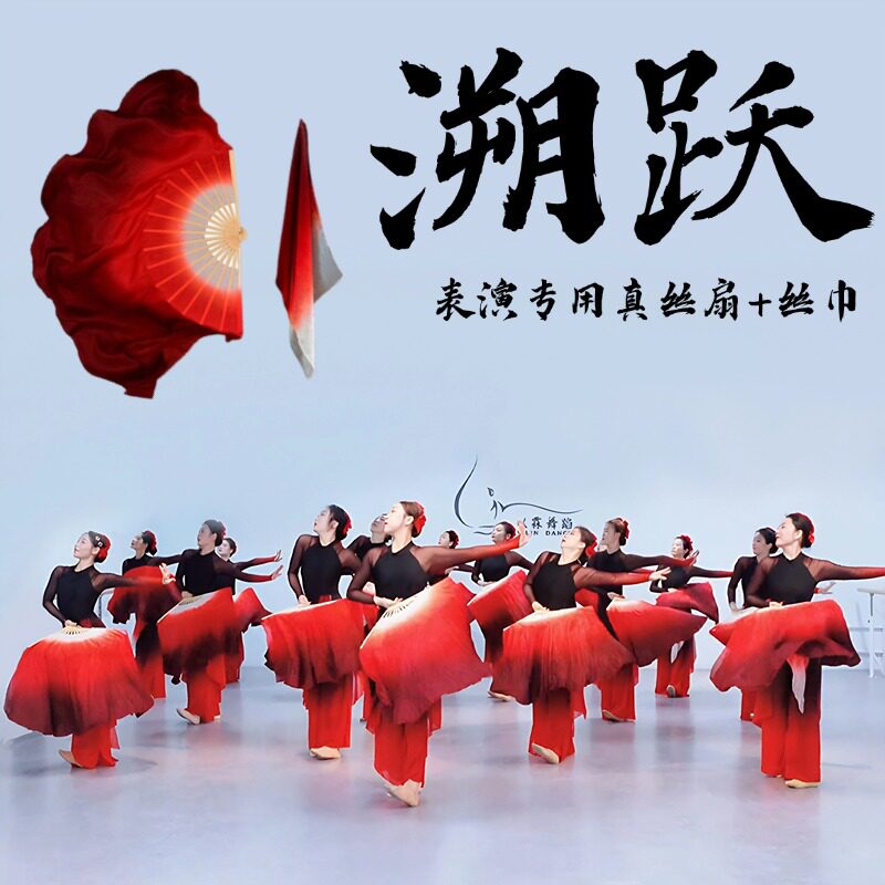 溯跃舞蹈扇子易开合双面真丝古典舞跳舞专用万疆九儿表演绸扇道具
