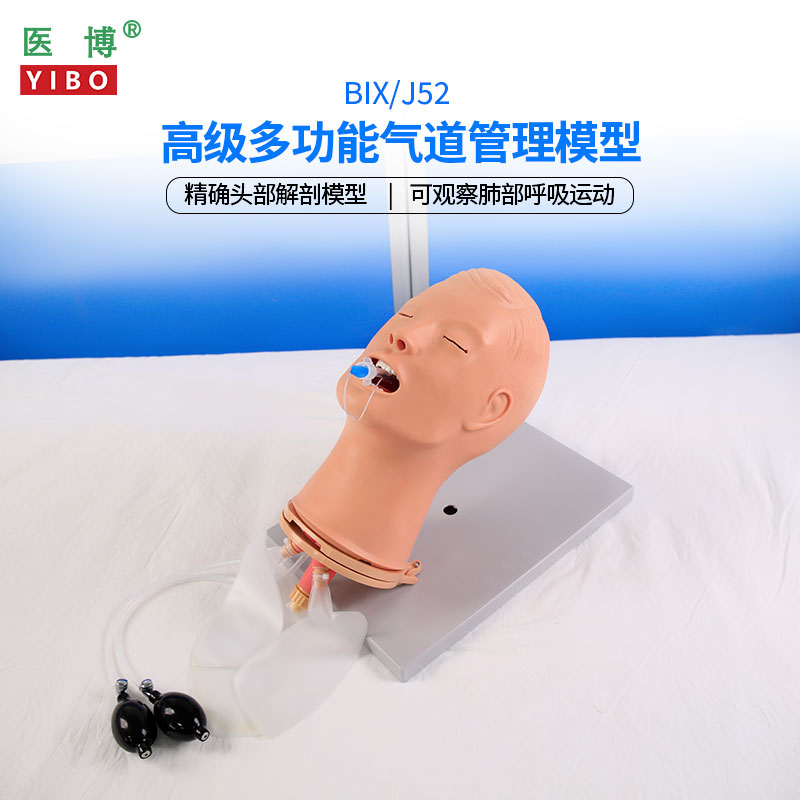 医博BIX-J52高级多功能气管插管训练模型多功能气道管理模型气管插管 吸痰气道开放练习训练医用教学人体模型